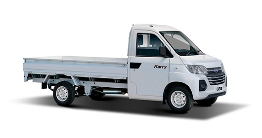 model_version